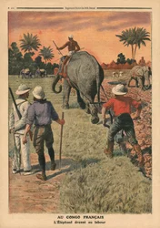 No Congo francês, elefante treinado para arar, ilustração de &39;Le Petit Journal&39;, suplemento ilustre, 15 de janeiro de 1911